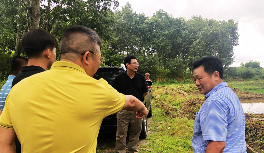 78m���Ź���(����)�й������޹�˾-BinG�ٿ�