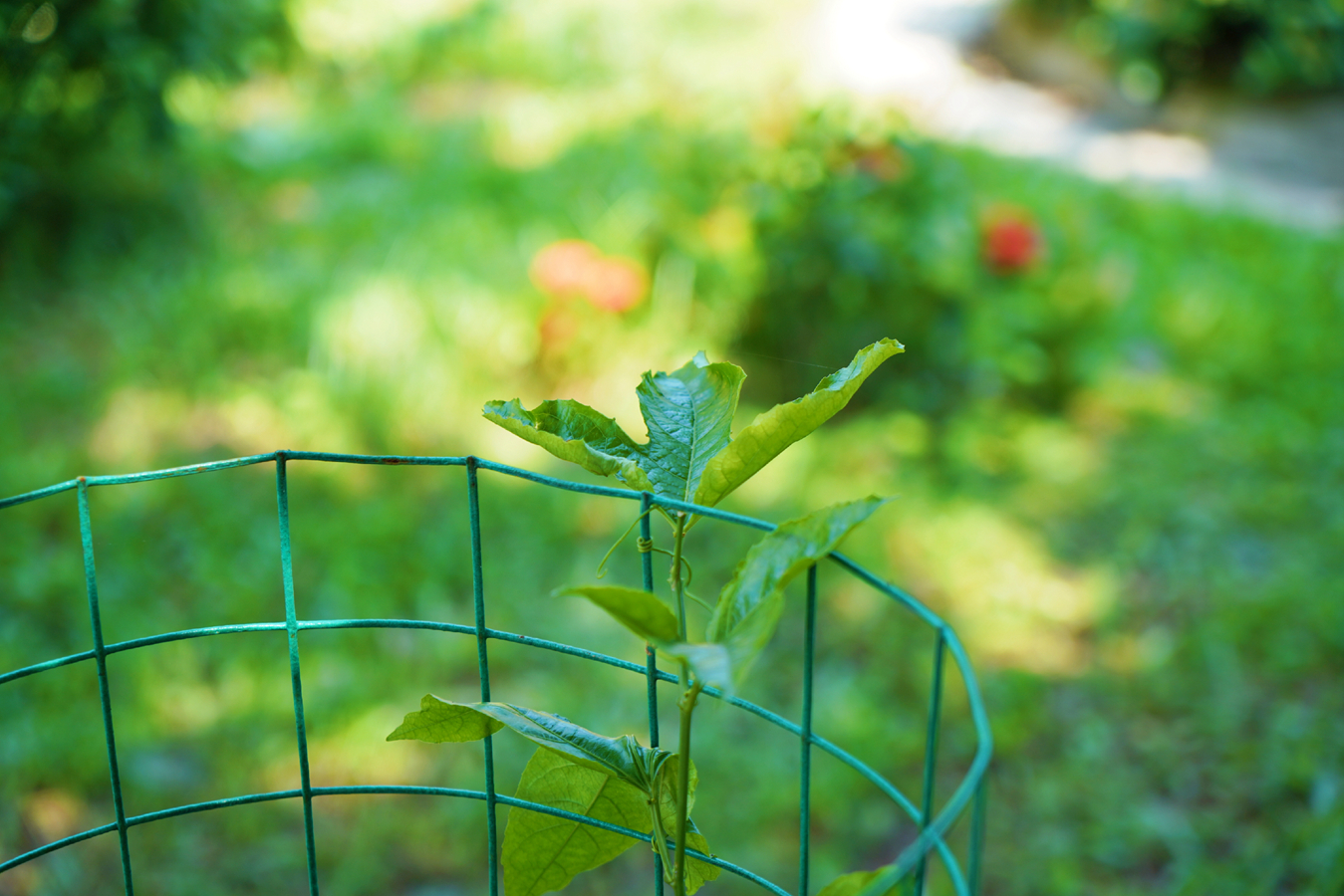 78m���Ź���(����)�й������޹�˾-BinG�ٿ�