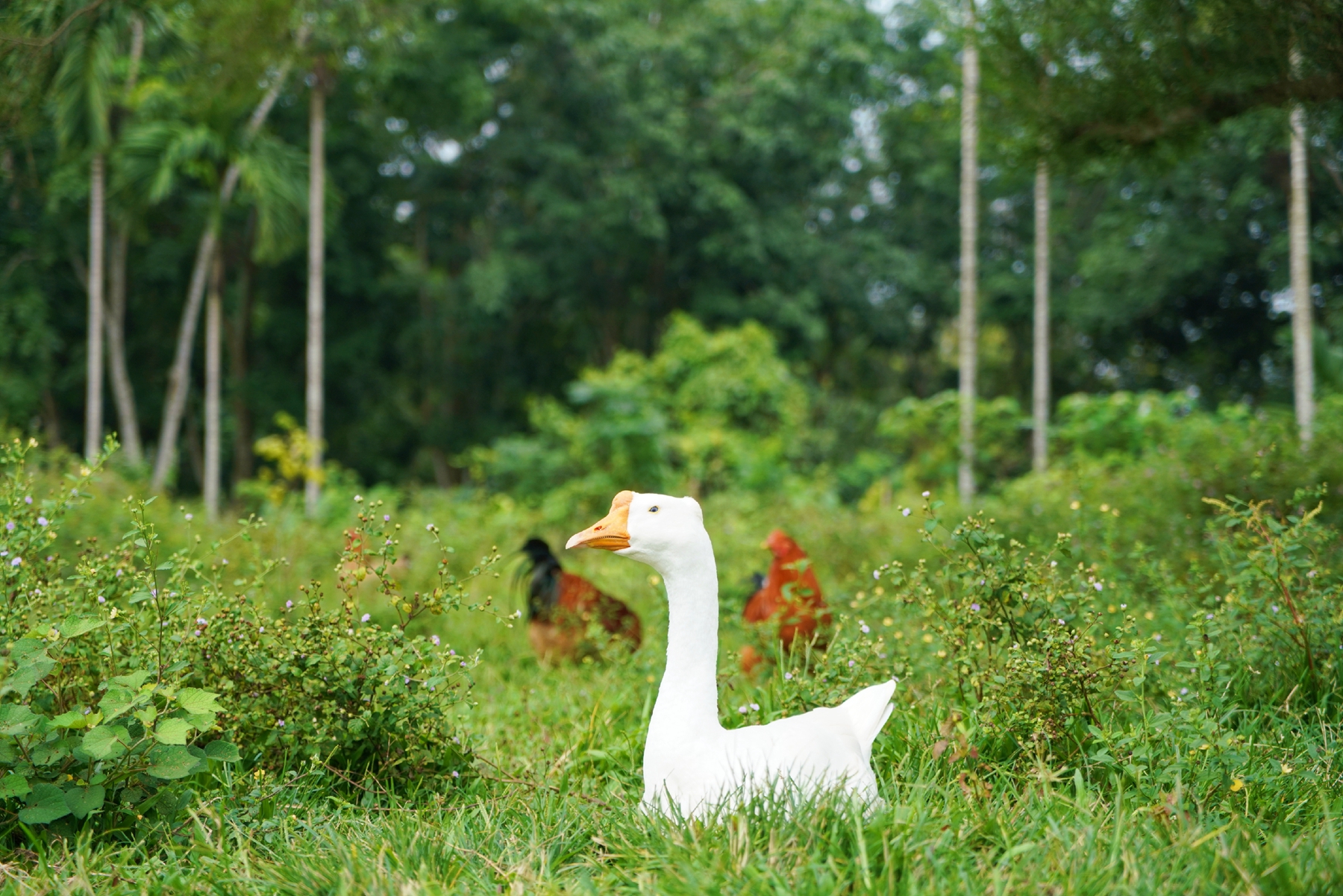 78mÍþ¾Å¹ú¼Ê(¼¯ÍÅ)ÖйúÇøÓÐÏÞ¹«Ë¾-BinG°Ù¿Æ