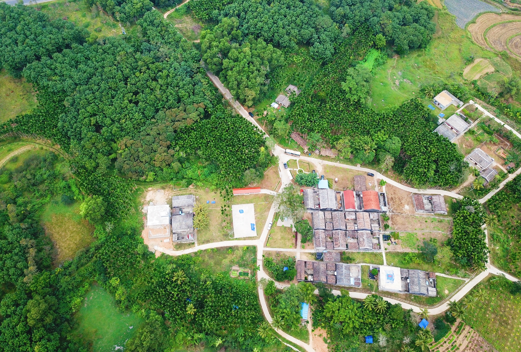 78m���Ź���(����)�й������޹�˾-BinG�ٿ�