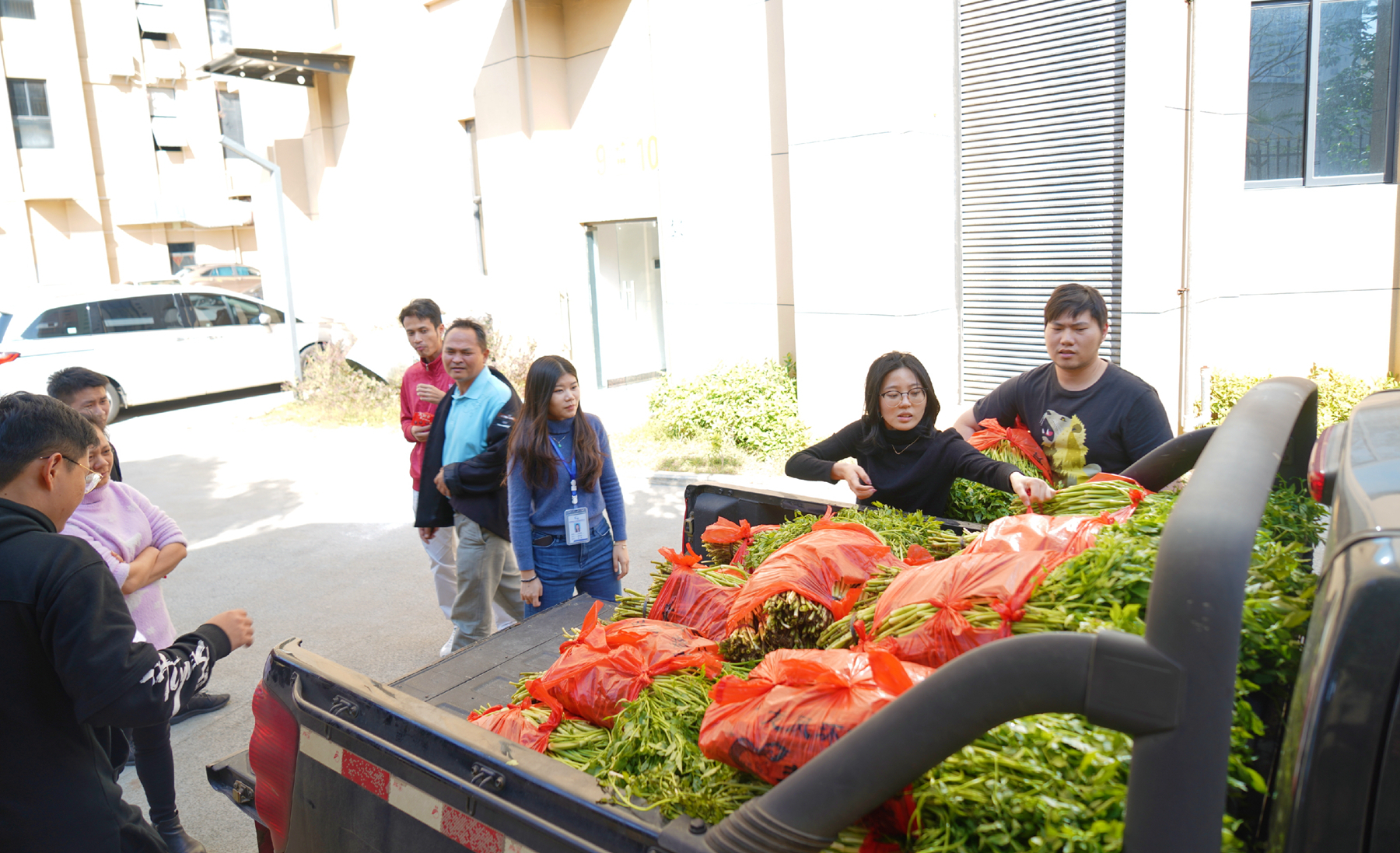 78m���Ź���(����)�й������޹�˾-BinG�ٿ�