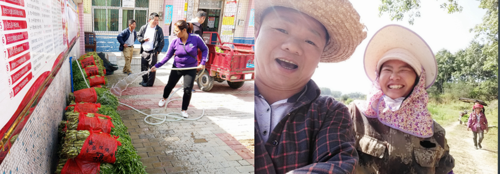 78m���Ź���(����)�й������޹�˾-BinG�ٿ�