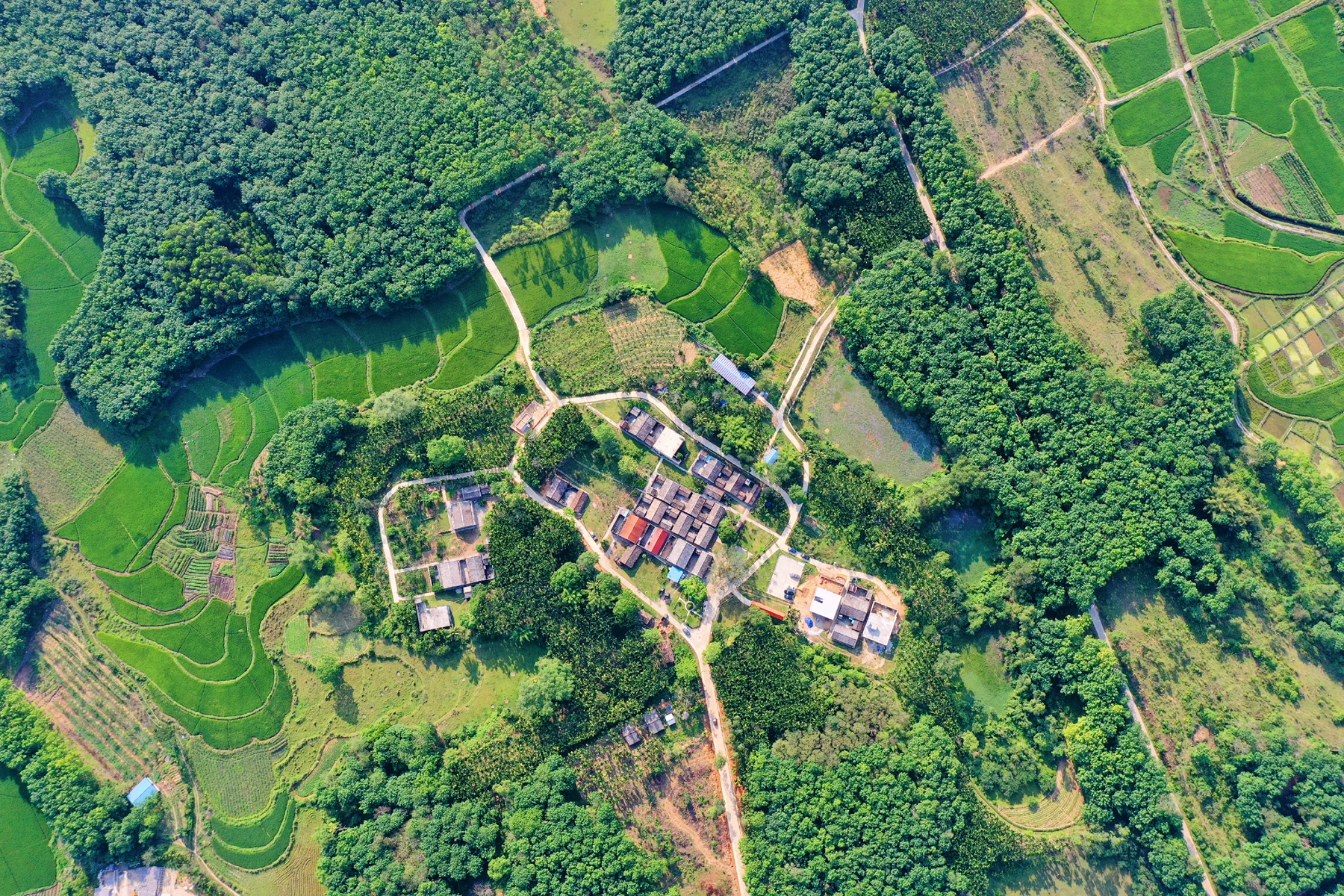 78m���Ź���(����)�й������޹�˾-BinG�ٿ�