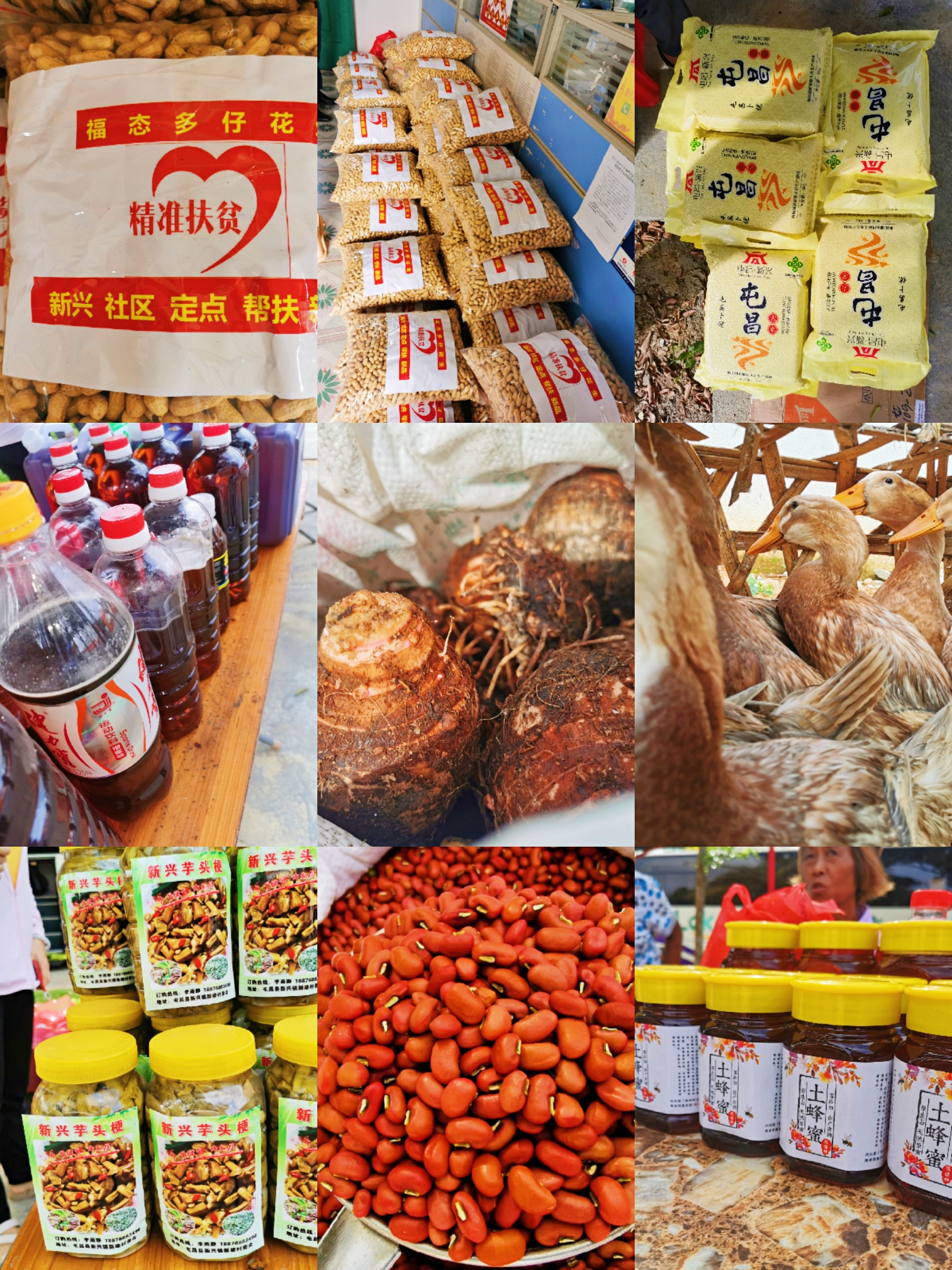 78m���Ź���(����)�й������޹�˾-BinG�ٿ�