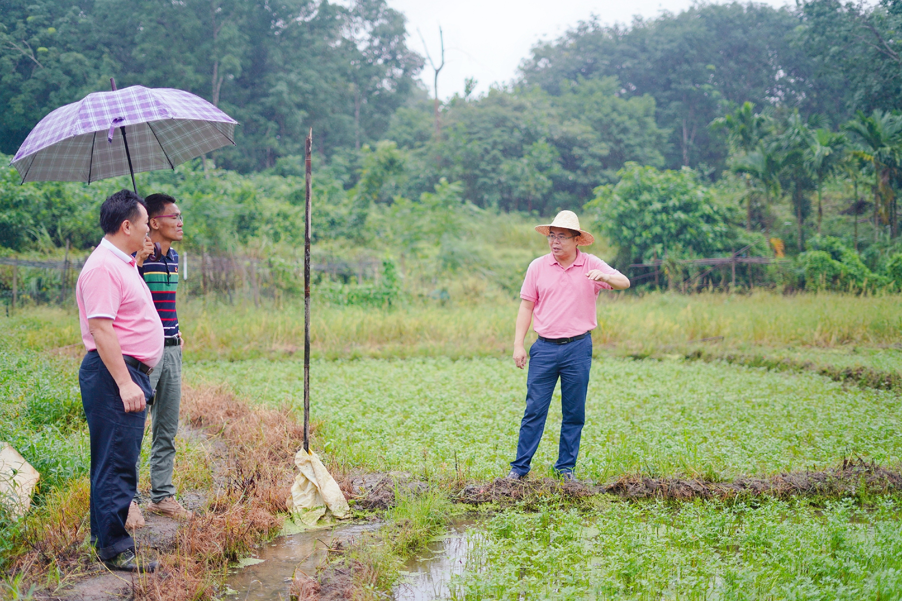 78m���Ź���(����)�й������޹�˾-BinG�ٿ�