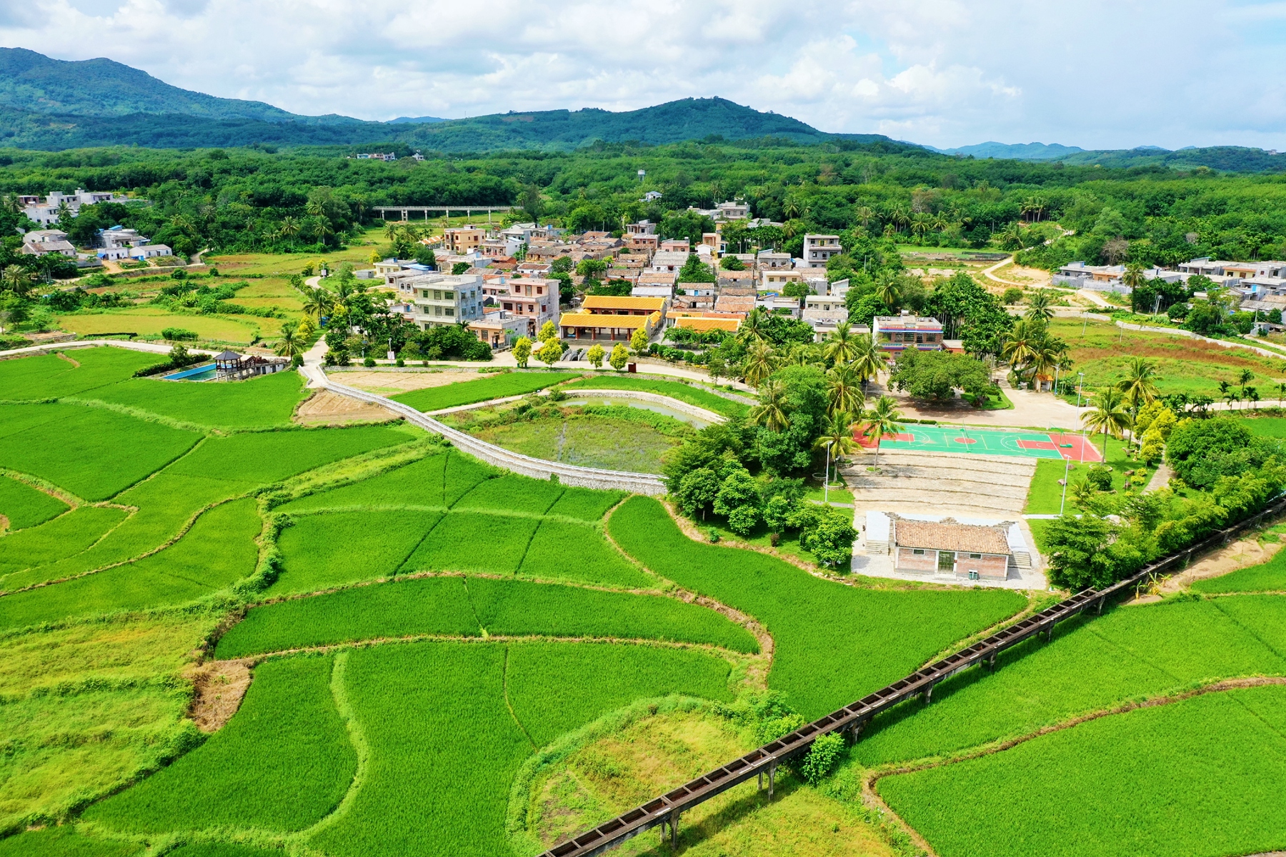 78m���Ź���(����)�й������޹�˾-BinG�ٿ�