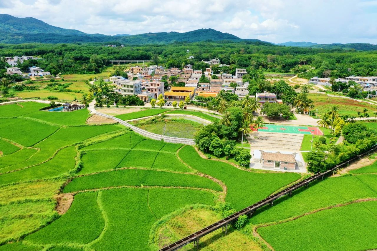 78m���Ź���(����)�й������޹�˾-BinG�ٿ�