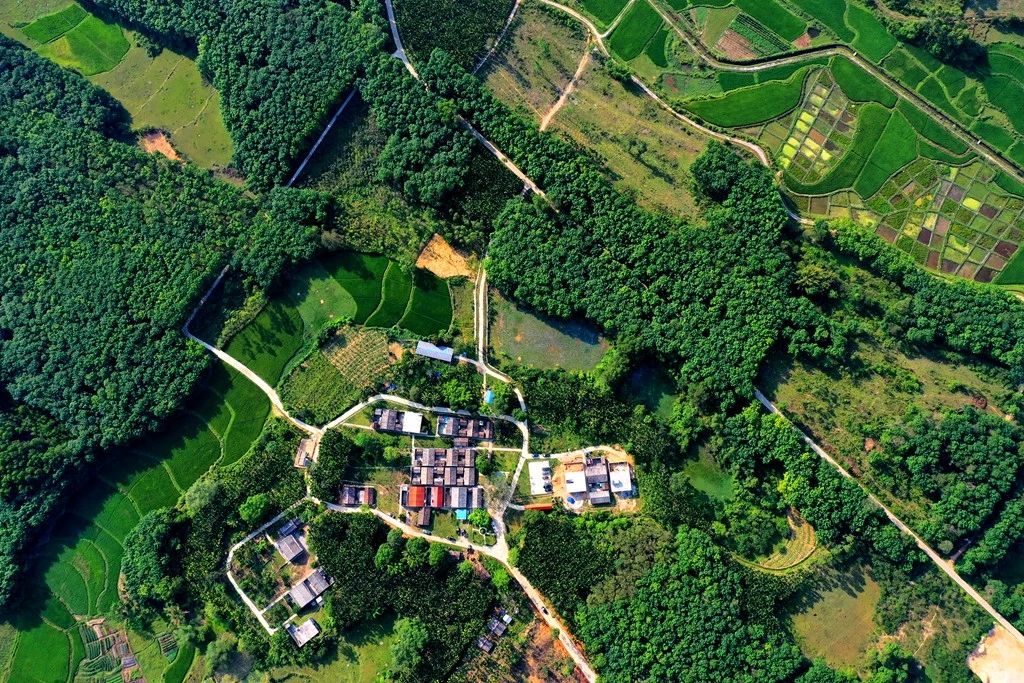 78m���Ź���(����)�й������޹�˾-BinG�ٿ�