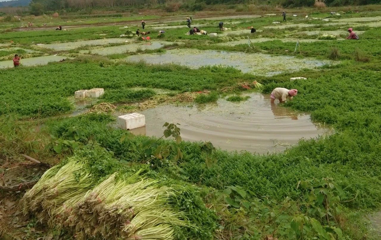 78m���Ź���(����)�й������޹�˾-BinG�ٿ�