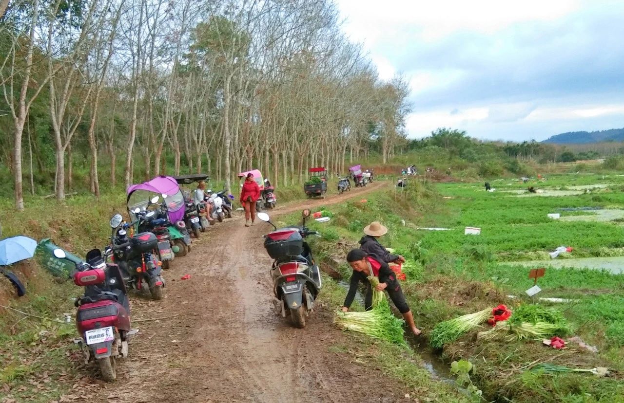 78m���Ź���(����)�й������޹�˾-BinG�ٿ�