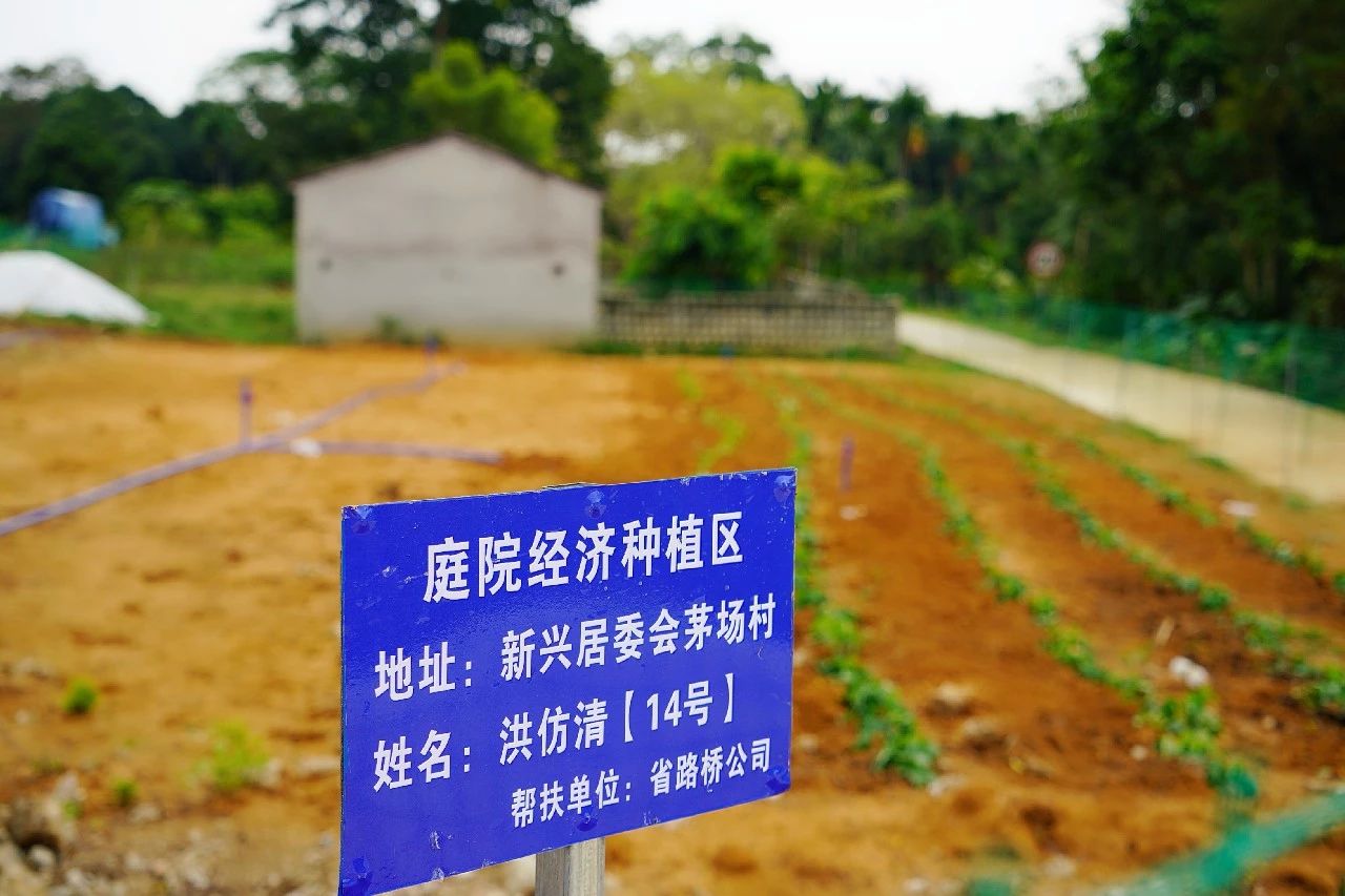 78m���Ź���(����)�й������޹�˾-BinG�ٿ�