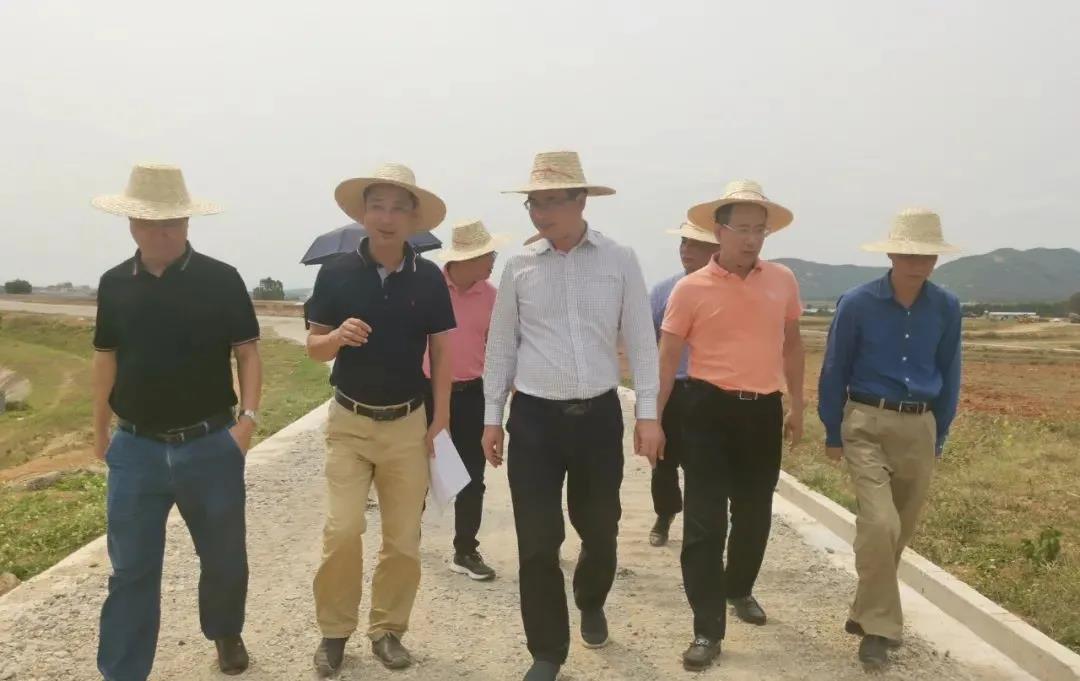 78m���Ź���(����)�й������޹�˾-BinG�ٿ�