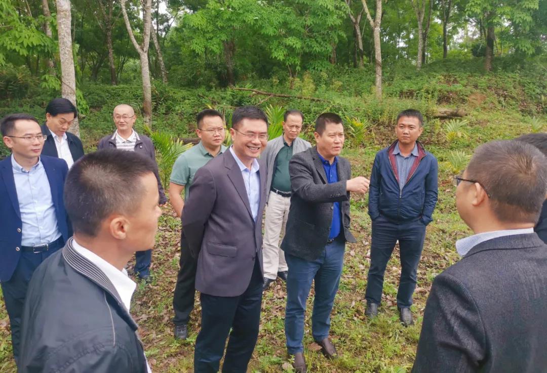 78m���Ź���(����)�й������޹�˾-BinG�ٿ�