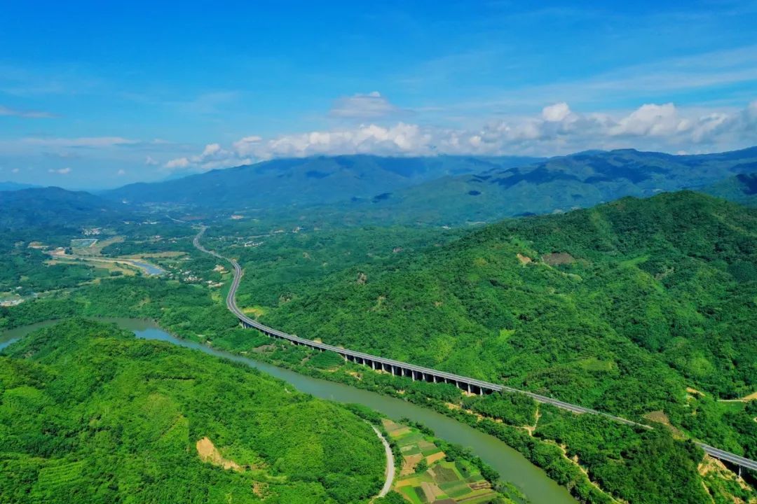 78m���Ź���(����)�й������޹�˾-BinG�ٿ�