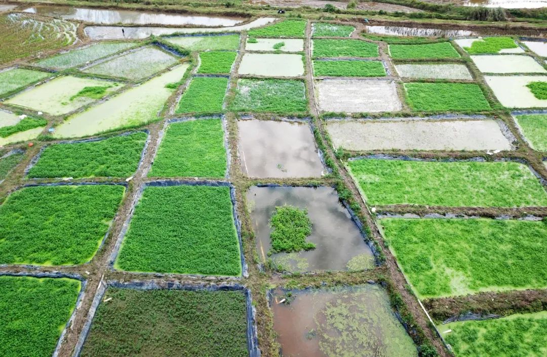 78m���Ź���(����)�й������޹�˾-BinG�ٿ�